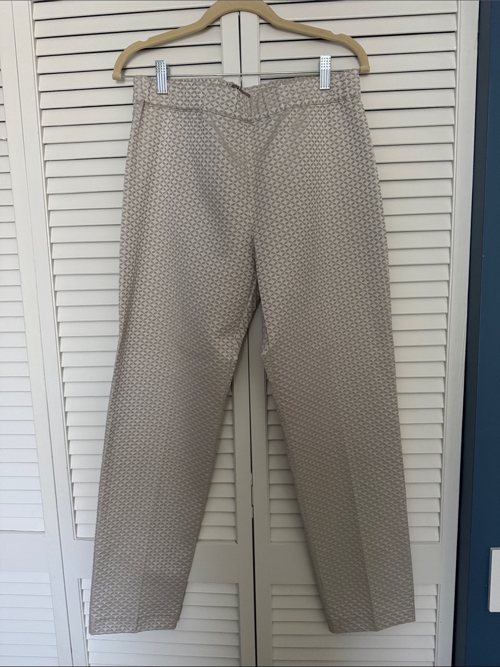 Textured Cropped Ankle Pants in Light Beige